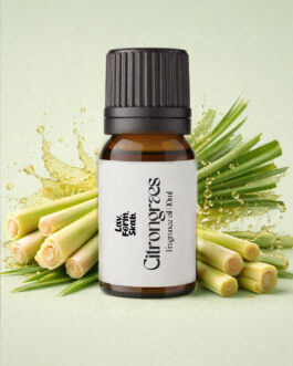 Duftolie til lys – Citrongræs